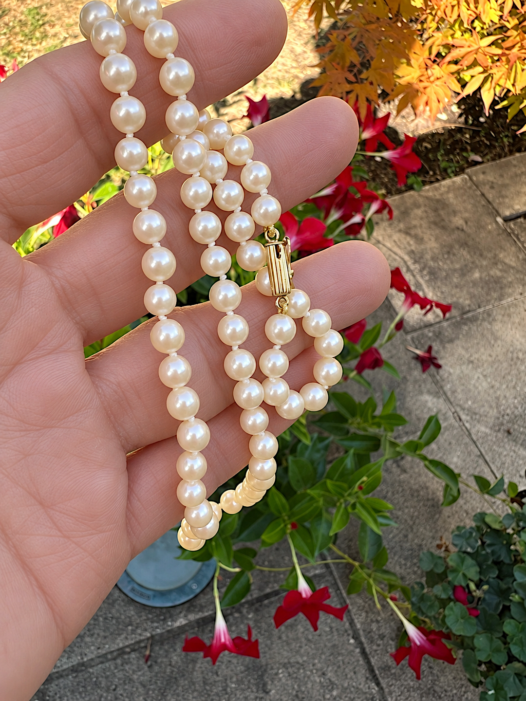 Gros plan du collier de perles de culture posé sur les doigts, en extérieur au jardin, bijou de luxe d'occasion